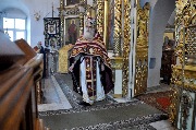 DSC_0768 1.jpg